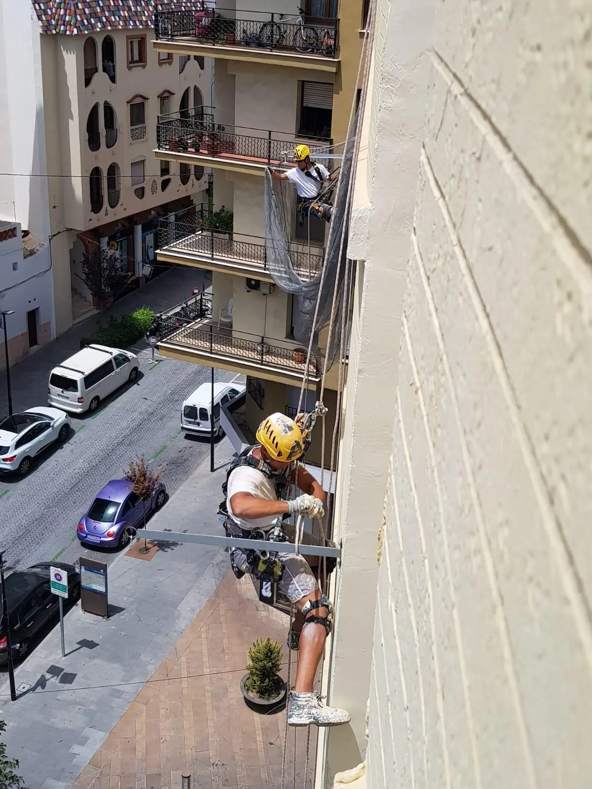 Instalación de sistemas antiaves