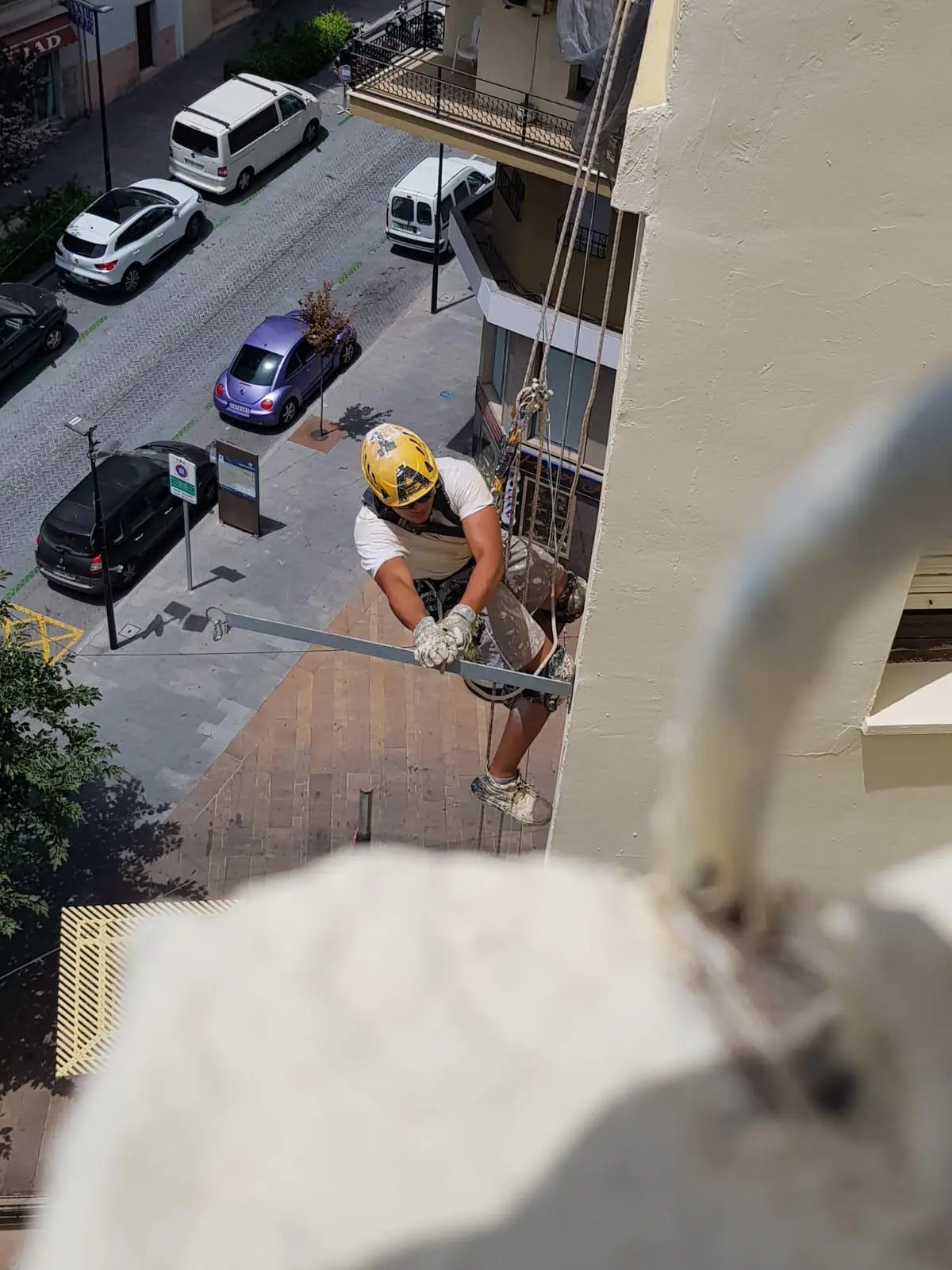 Sistema de protección antiaves instalado